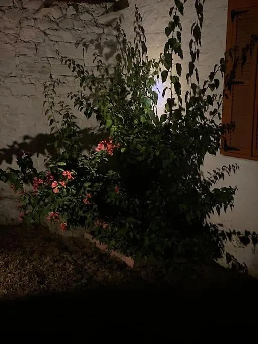 Kanai Konuk & Zeytin Evi Dikili Villa